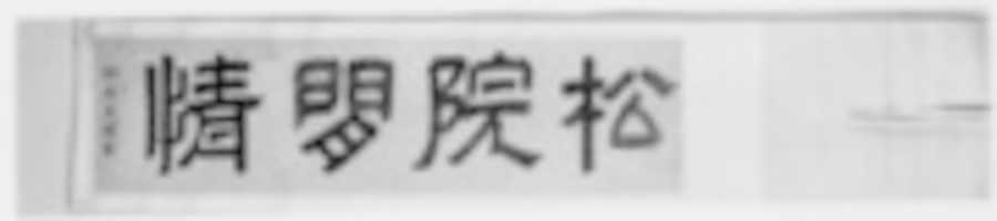 Free download In the Pine Courtyard, Leisurely Feelings free photo or picture to be edited with GIMP online image editor