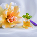 Intoxicating scent  screen for extension Chrome web store in OffiDocs Chromium