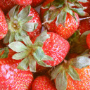 Introduction to Berries  screen for extension Chrome web store in OffiDocs Chromium