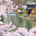 Introduction to the Cherry Blossoms by the River and House Theme  screen for extension Chrome web store in OffiDocs Chromium