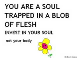 Free download Invest In Your Soul  free photo or picture to be edited with GIMP online image editor