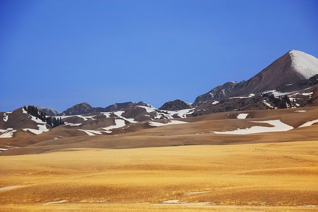 Descarga gratuita en la montaña nevada de la pradera de Xinjiang: foto o imagen gratuitas para editar con el editor de imágenes en línea GIMP