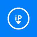 IP  Browser Info  screen for extension Chrome web store in OffiDocs Chromium
