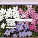 Ipheion  screen for extension Chrome web store in OffiDocs Chromium