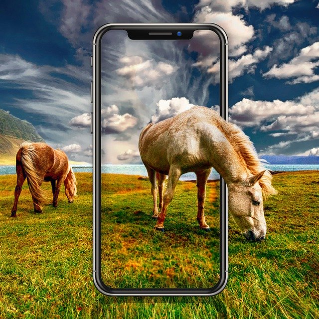 Free download Iphone Horse -  free photo or picture to be edited with GIMP online image editor