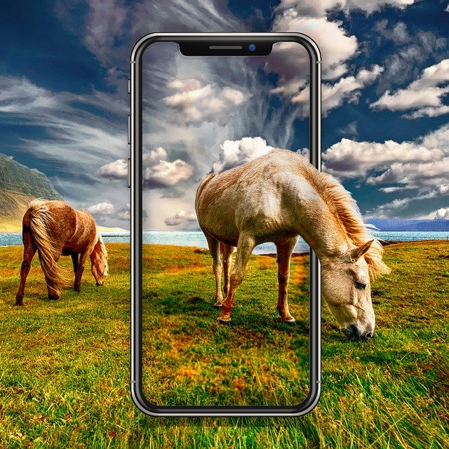 Libreng download Iphone Horse - libreng larawan o larawan na ie-edit gamit ang GIMP online image editor