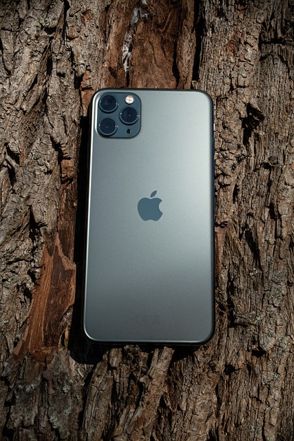 Free download iphone pro max iphone11 free picture to be edited with GIMP free online image editor