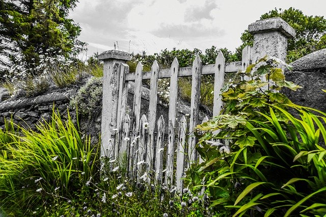 הורדה חינם של Ireland Garden Gate Flowers - תמונה או תמונה בחינם לעריכה עם עורך התמונות המקוון GIMP