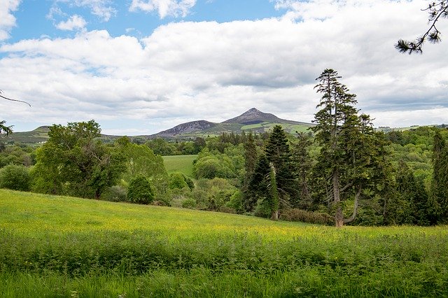 Descarga gratuita Ireland Wicklow Nature: foto o imagen gratuita para editar con el editor de imágenes en línea GIMP