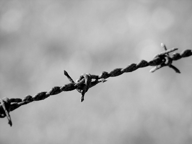 Free download Iron Barbed Wire -  free free photo or picture to be edited with GIMP online image editor