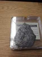 Free download Iron meteorite sample, SUNY Geneseo Geology Dept. free photo or picture to be edited with GIMP online image editor