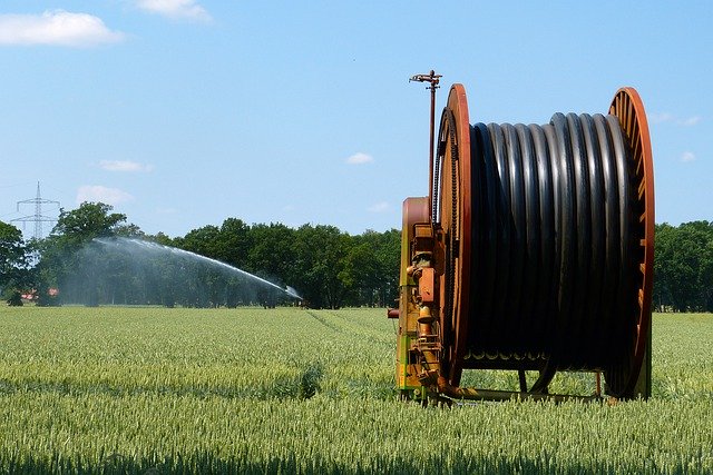 Gratis download Irrigation Agriculture Plant - gratis foto of afbeelding om te bewerken met GIMP online afbeeldingseditor