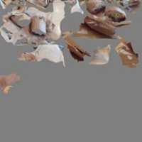 Free download is3d-oMesh_1342995460 free photo or picture to be edited with GIMP online image editor