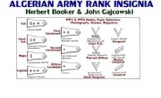 Free download Islamic Armies Branch and Rank Insignia free photo or picture to be edited with GIMP online image editor