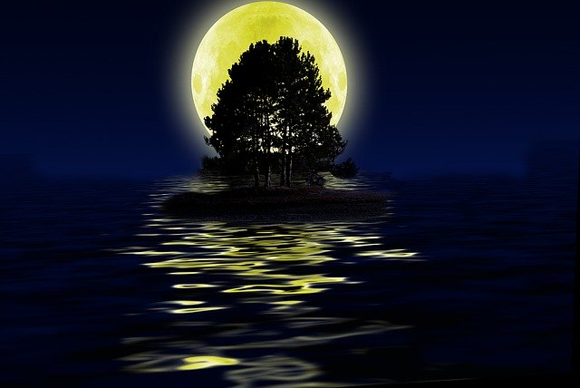 Free download Island Tree Lake -  free illustration to be edited with GIMP free online image editor