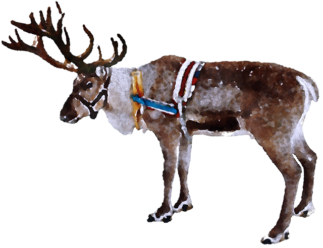 Ücretsiz indir İzole Moose Noel - GIMP ücretsiz çevrimiçi resim düzenleyiciyle düzenlenecek ücretsiz illüstrasyon