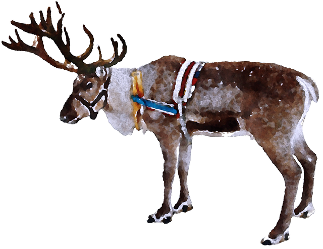 Descarga gratis Isolated Moose Christmas - ilustración gratuita para ser editada con GIMP editor de imágenes en línea gratuito