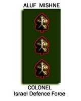 Free download Israel Defence Force Colonel Rank Insignia free photo or picture to be edited with GIMP online image editor