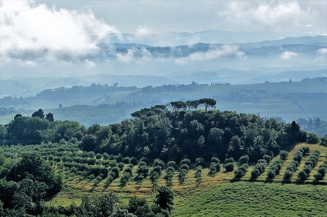 免费下载意大利橄榄树林景观 - 可使用 GIMP 在线图像编辑器编辑的免费照片或图片