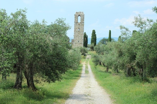 Free download Italy Ruin Olive Trees -  free photo or picture to be edited with GIMP online image editor
