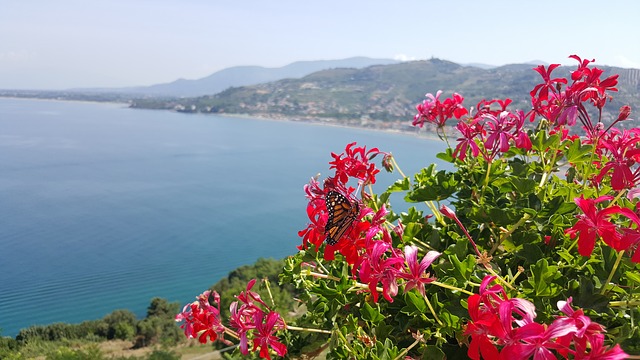 Free download italy that moment free picture to be edited with GIMP free online image editor