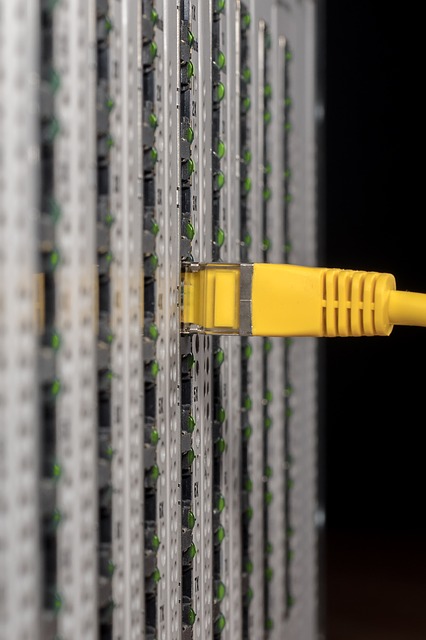 Free download it server server cabinet network free picture to be edited with GIMP free online image editor