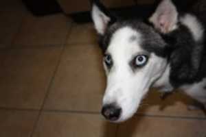 Free download Its Not an Apartment, Its a Condo free photo or picture to be edited with GIMP online image editor