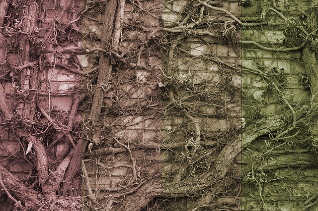 تنزيل Ivy Common Nature مجانًا - رسم توضيحي مجاني ليتم تحريره باستخدام محرر الصور المجاني عبر الإنترنت من GIMP