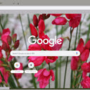 Ixia  screen for extension Chrome web store in OffiDocs Chromium
