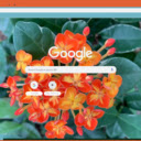 Ixora  screen for extension Chrome web store in OffiDocs Chromium