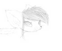 Free download Jackal Lenna free photo or picture to be edited with GIMP online image editor
