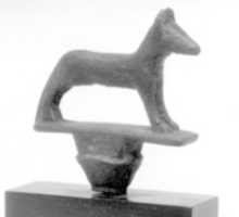 Free download Jackal standard free photo or picture to be edited with GIMP online image editor