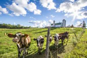 Free download jacobs-road-farm-2016-09-10-02 free photo or picture to be edited with GIMP online image editor