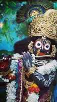 Free download Jagannatha free photo or picture to be edited with GIMP online image editor