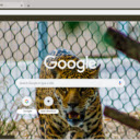 Jaguar  screen for extension Chrome web store in OffiDocs Chromium