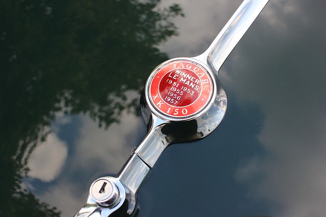 Free download jaguar car logo bonnet xk150 free picture to be edited with GIMP free online image editor
