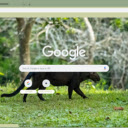 Jaguarundi  screen for extension Chrome web store in OffiDocs Chromium