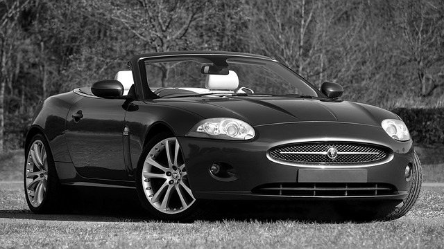 Free download jaguar xk car speed power vehicle free picture to be edited with GIMP free online image editor