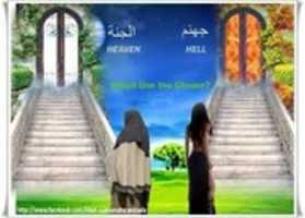 Free download JANNAT KYA HAI ? free photo or picture to be edited with GIMP online image editor