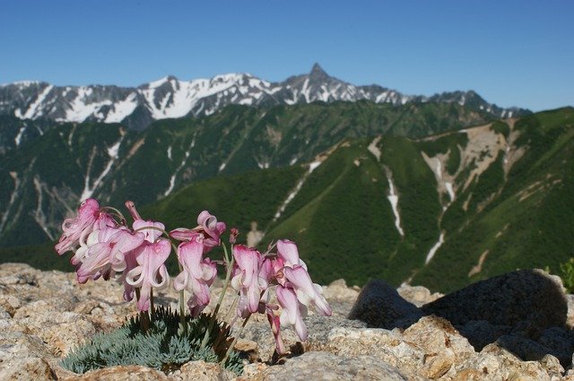 Скачать бесплатно Japan Alps Mountain - бесплатное фото или изображение для редактирования с помощью онлайн-редактора изображений GIMP