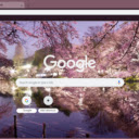 Japanese Cherry Blossoms  screen for extension Chrome web store in OffiDocs Chromium
