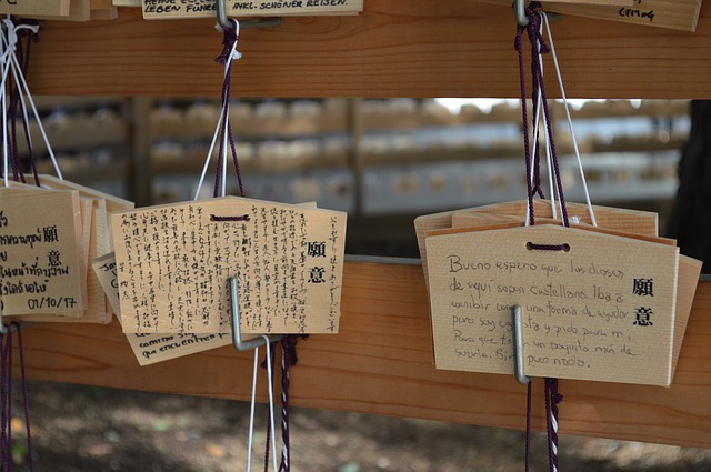 Free download japan memory card colorful free picture to be edited with GIMP free online image editor