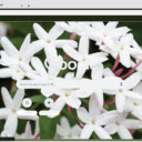 Jasmine  screen for extension Chrome web store in OffiDocs Chromium