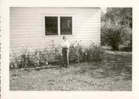 Free download Jeanne 1952 free photo or picture to be edited with GIMP online image editor
