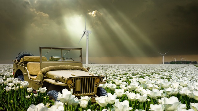 Free download jeep all terrain vehicle tulip field free picture to be edited with GIMP free online image editor