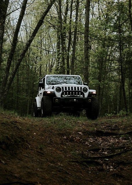 Free download jeep car automobile vehicle forest free picture to be edited with GIMP free online image editor