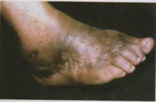 Free download jejeje_133 free photo or picture to be edited with GIMP online image editor