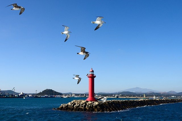 Free download Jeju Island Holy Mountain Sports -  free photo or picture to be edited with GIMP online image editor
