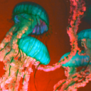 Jellyfish Grunge  screen for extension Chrome web store in OffiDocs Chromium