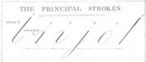 Free download jenkinsprincipalstrokes free photo or picture to be edited with GIMP online image editor